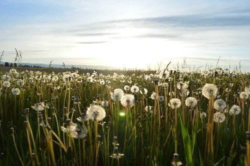 Edge Computing in 2026: What It Actually Means for Developers